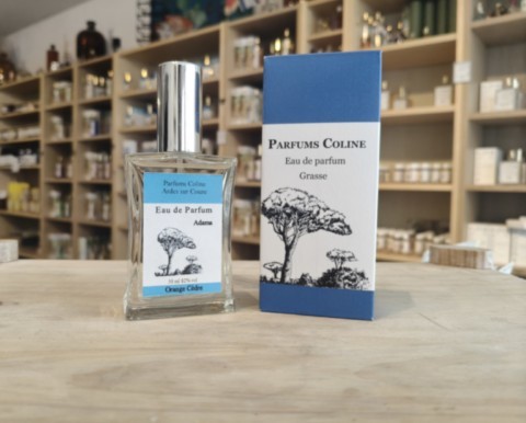 cathedrale de grasse